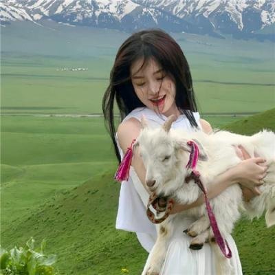开膛少女的异想世界